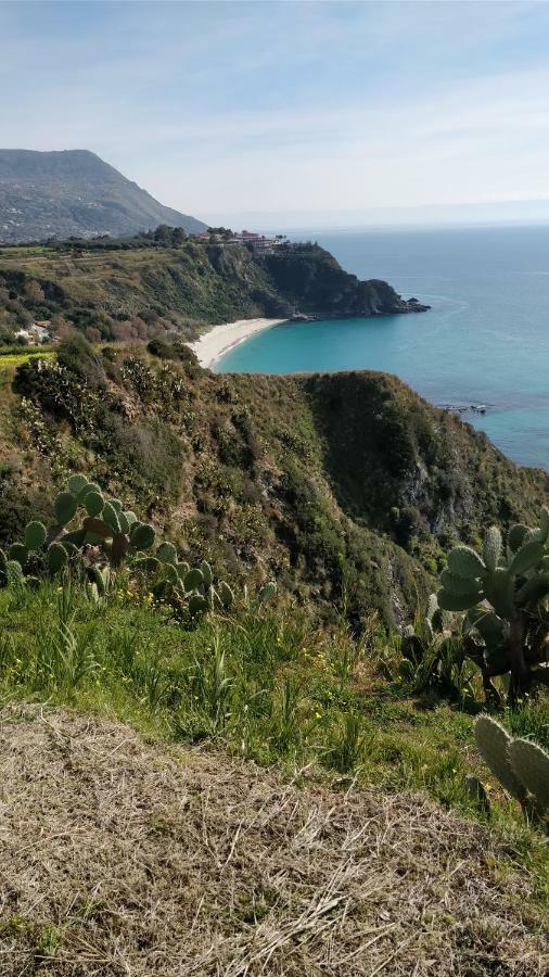 Dal Barone Agostino Apartment Capo Vaticano Ngoại thất bức ảnh